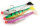 Rage Ready To Fish Proshads Rainbow Trout