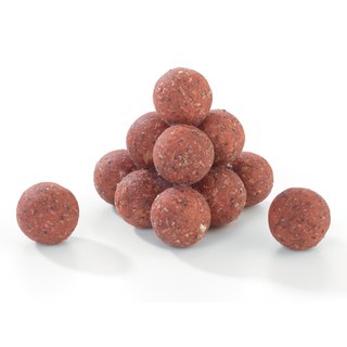 Pelzer One Shot Attract Boilies Strawberry 20mm 250g