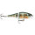 Rapala BX Jointed Shad Bluegill