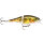 Rapala BX Jointed Shad Brown Trout