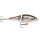Rapala BX Jointed Shad Rainbow Trout
