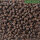 Pelzer Baits Pellets 800g 10mm Halibut