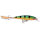 Rapala X-Rap 6,0cm Perch (P) RAPXR06P