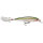 Rapala X-Rap 10,0cm Olive Green (OG) RAPXR10OG