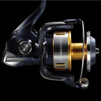 Shimano Twin Power SW-B 8000 PG