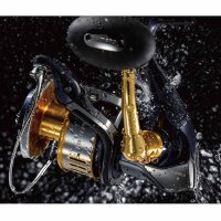 Shimano Twin Power SW-B 8000 PG