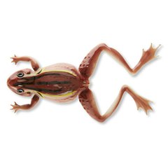 Cormoran 3D Soft Frog 12cm braun