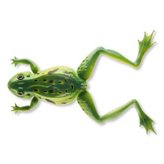 Cormoran 3D Soft Frog 12cm grn