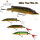 Westin Mike The Pike Hard Bait Wobbler Floating 0,5 - 2,00m