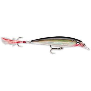 Rapala X-Rap 10,0cm Silver (S)