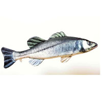 Kuschelfisch Sea Bass Wolfsbarsch 70cm