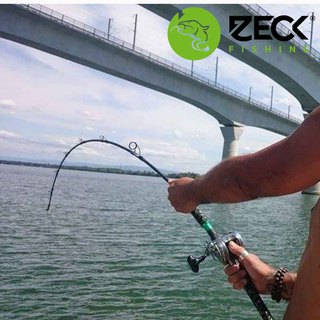 Zeck V-Stick+ Rute 1,90m