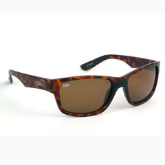 Fox Sunglasses Tortoise Frame / Lens Brown