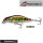 Daiwa Prorex Flat Minnow 50SS Live Minnow