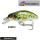 Daiwa Prorex Micro Minnow 30F-SR Live Brown Trout