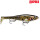 Rapala X-Rap Peto 20cm 83g Artistic Burbot (ARB)