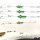 MADCAT Screaming Basic River Rig Worm & Squid Large 60g Gr.10/0+10/0