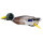 Westin Danny The Duck Hollowbody Ente 9cm 18g Mallard
