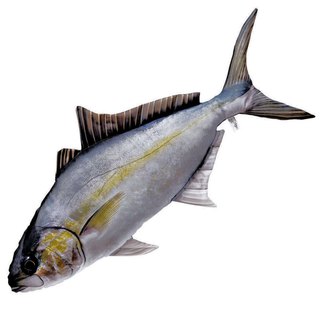 GABY DER AMBERJACK 100cm Seriola dumerili Kuscheltier Stofftier Fisch Polyester 