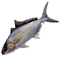 Kuschelfisch The Amberjack 105cm