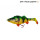 Savage Gear 4D Perch Shad 17,5cm 67g Firetiger