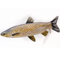 Kuschelfisch The Giant Grass Carp 105cm