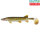 Balzer Shirasu Clone Shad 12cm Hecht 4D