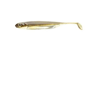 Fish Arrow Flash-J Shad 5 Green Pumokin/Silver