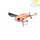 Illex Pompadour Glow Frog