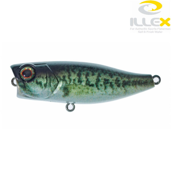 Illex Chubby Popper 42 RT Biwako Bass