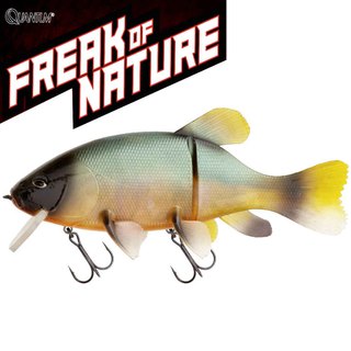 Quantum Freak of Nature Hybrid Tench 23cm Real Tench