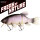 Quantum Freak of Nature Hybrid Tench 23cm Ghost