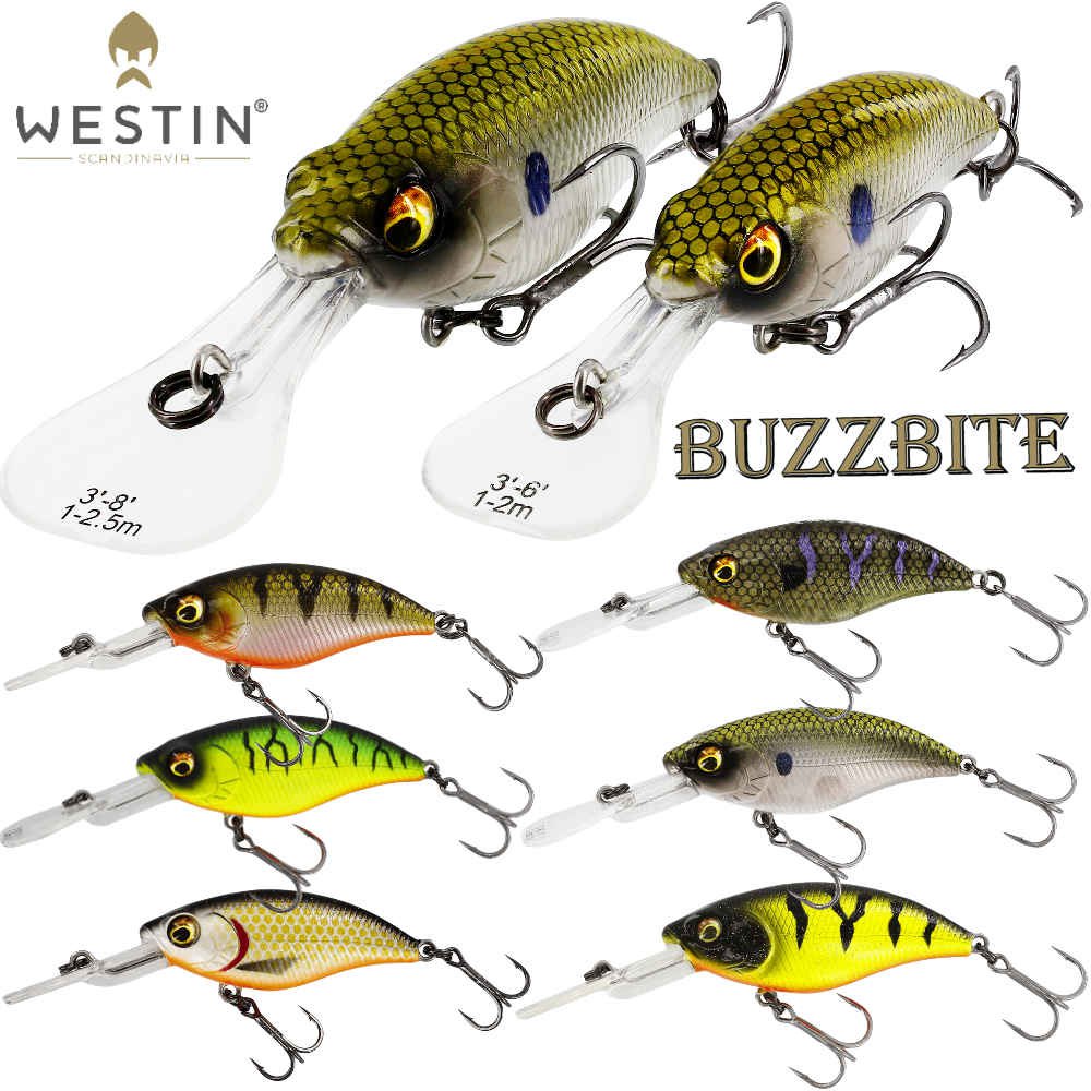 Westin BuzzBite Crankbait 4cm, 5cm oder 6cm - VF-Angelsport, Ihr Ausstatter  für Ihr Hobby ,Großes Fachgeschäft rund ums angeln, 8,50 €