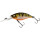 Westin BuzzBite Crankbait 6cm Bling Perch