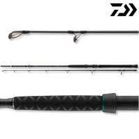 Daiwa Powermesh Catfish Boat 2,55m 100-400g