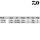 Daiwa Powermesh Catfish Boat 2,55m 100-400g