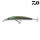 Daiwa Tournament XL Shiner 130F Kibinago