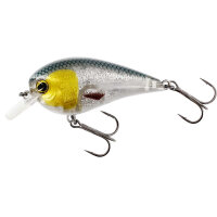 Westin BassBite Squarebill Crankbait 7cm 3D Headlight