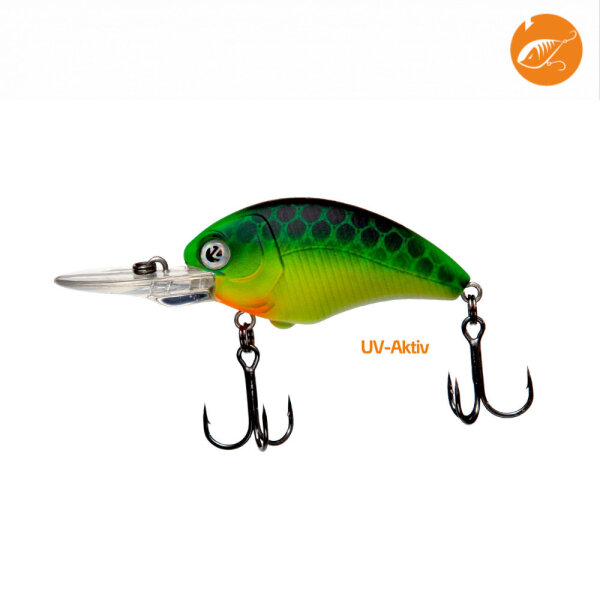 Zeck Danny 4,5cm F 1,8m Gecko