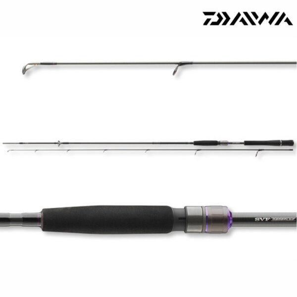 Daiwa Prorex AGS Spin 2,70m 10-30g