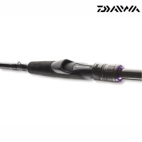 Daiwa Prorex AGS Spin 2,70m 10-30g