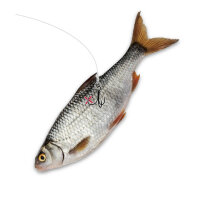 Quantum Mr.Pike Ghost Traces Float Rig weiß Gr.6