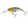 Westin BuzzBite Crankbait Limited 4cm 3D Gold Headlight