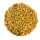VF Carp Premium Pellets 700g Eimer 2mm Maggot / Maden