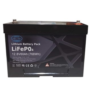 Lithium LIFEPO4 Akku 12V 60AH mit BMS und LED Display