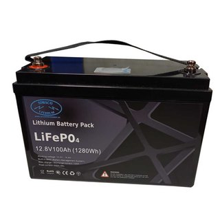 Lithium LIFEPO4 Akku 12V 100Ah mit BMS und LED Display