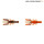 Savage Gear 3D Crayfish Rattling 5,5cm 1,6g Brown Orange