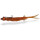 Quantum Pelagic Shad Set 25cm 70g Appleseed