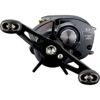 Daiwa 21 Steez A TW HLC 7.1L