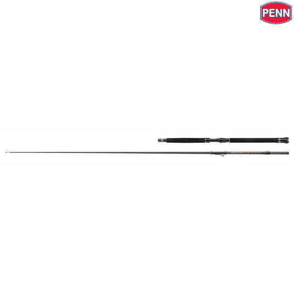 Penn Regiment III Inner Boat 701+1 30-50lb
